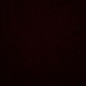 Meet your Posher, Bailey